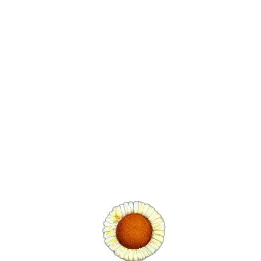 jewelry, food, staff, flower transparent PNG cut-out