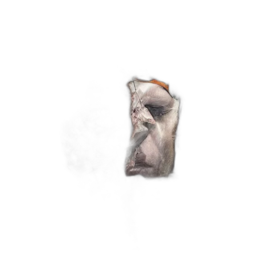 animal, face, creature, hair transparent PNG cut-out
