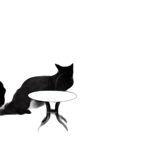 furniture, animal, creature, hat transparent PNG cut-out