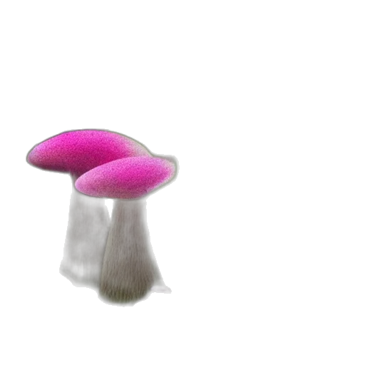 hat, furniture, umbrella, hair transparent PNG cut-out