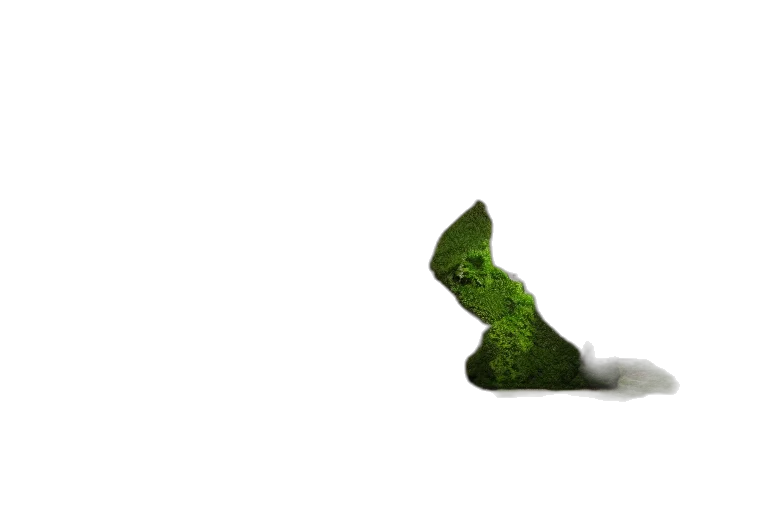 food, animal, shoes, bottle transparent PNG cut-out