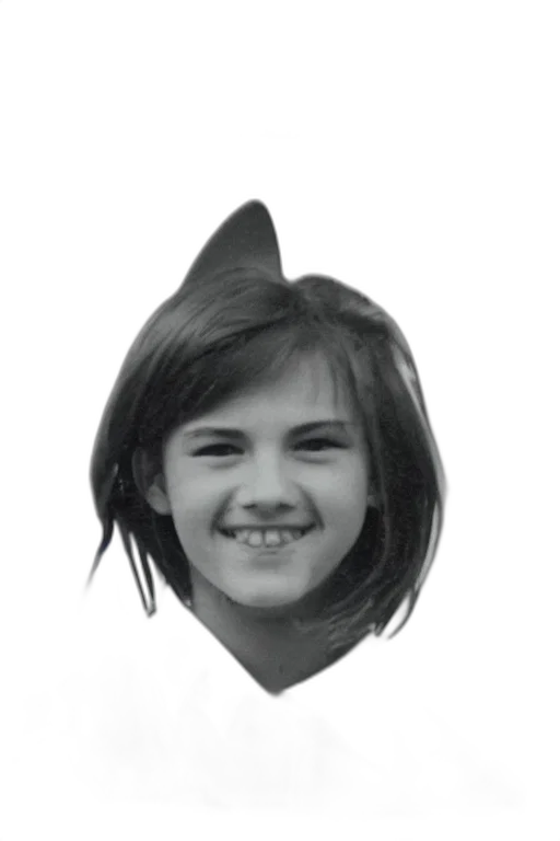 face, hair, crown, hat transparent PNG cut-out