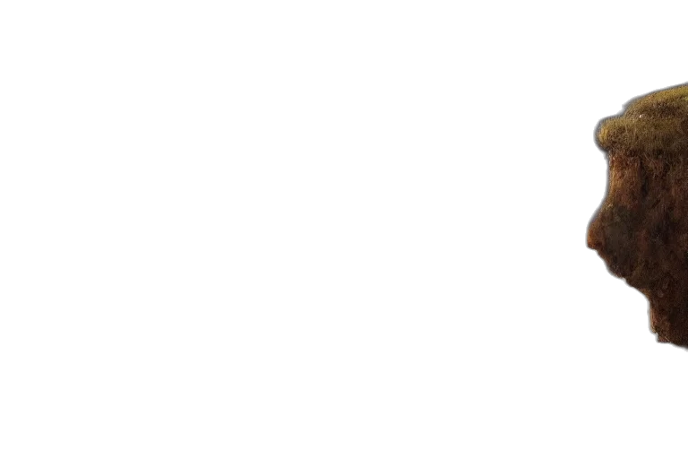 staff, face, monochrome, pastel transparent PNG cut-out
