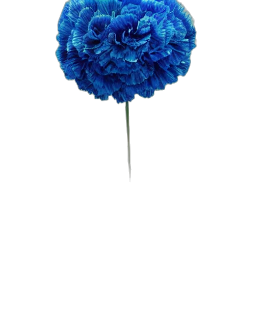 flower, crown, umbrella, hat transparent PNG cut-out