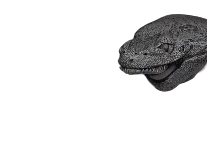 dragon, animal, creature, mask transparent PNG cut-out