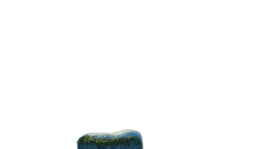 bottle, furniture, tree, hat transparent PNG cut-out