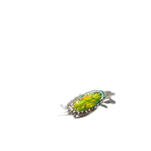 jewelry, crown, animal, creature transparent PNG cut-out
