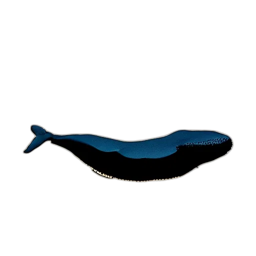 hat, hair, staff, shoes transparent PNG cut-out