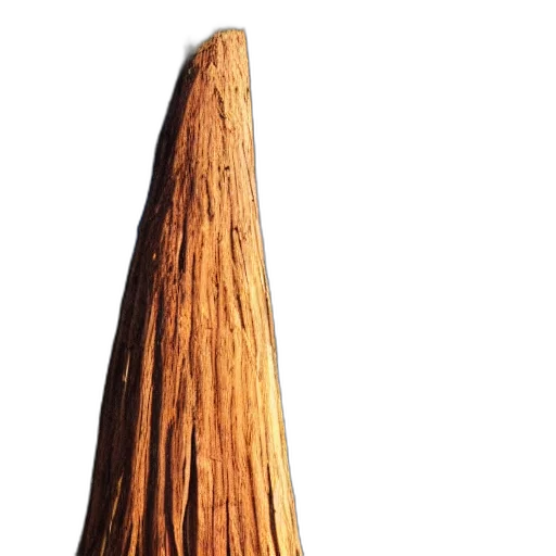 tree, hair, staff, hat transparent PNG cut-out
