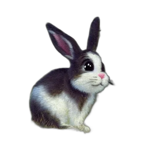 animal, creature, face, food transparent PNG cut-out