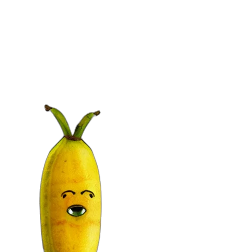 food, animal, face, creature transparent PNG cut-out