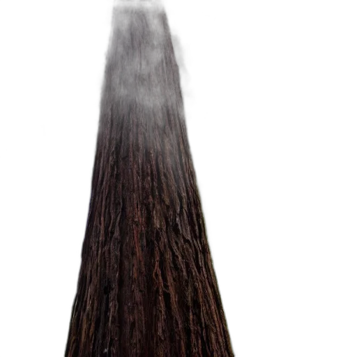 hair, staff, sword, tree transparent PNG cut-out