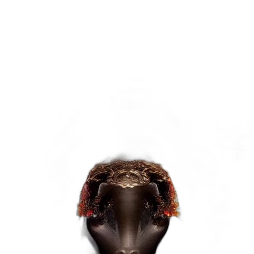 mask, animal, hat, hair transparent PNG cut-out