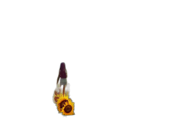 weapon, flower, staff, jewelry transparent PNG cut-out