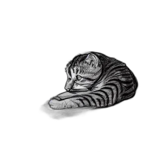 animal, hat, jewelry, creature transparent PNG cut-out