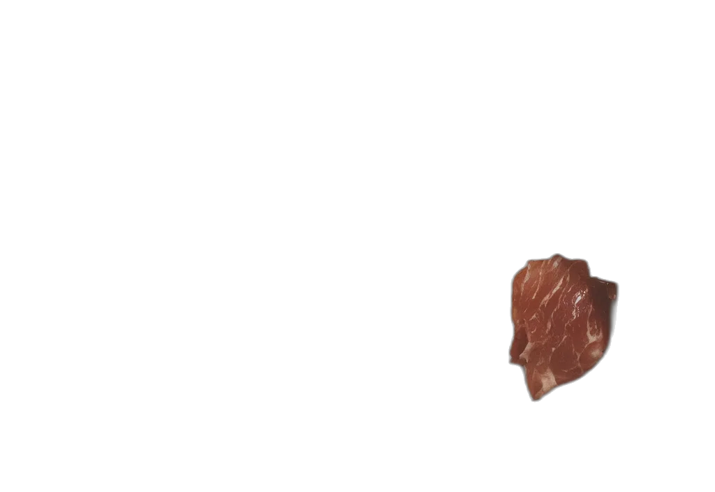 food, animal, face, weapon transparent PNG cut-out