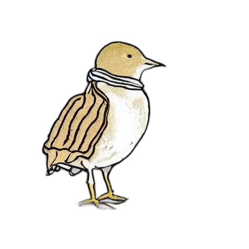 animal, dress, hat, jacket transparent PNG cut-out