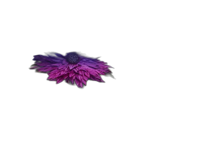 flower, jewelry, crown, hair transparent PNG cut-out