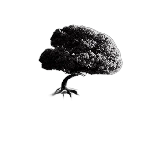 tree, animal, creature, hair transparent PNG cut-out