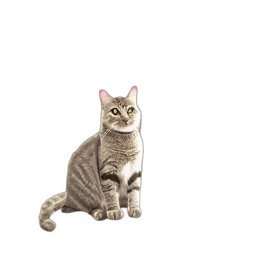 animal, staff, creature, jewelry transparent PNG cut-out