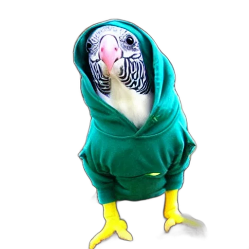 jacket, creature, mask, animal transparent PNG cut-out