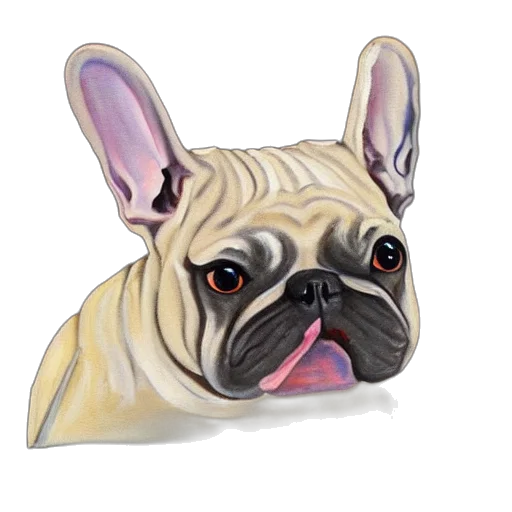 animal, creature, face, mask transparent PNG cut-out