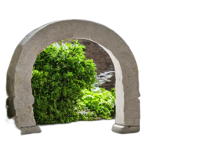 tree, crown, furniture, building transparent PNG cut-out