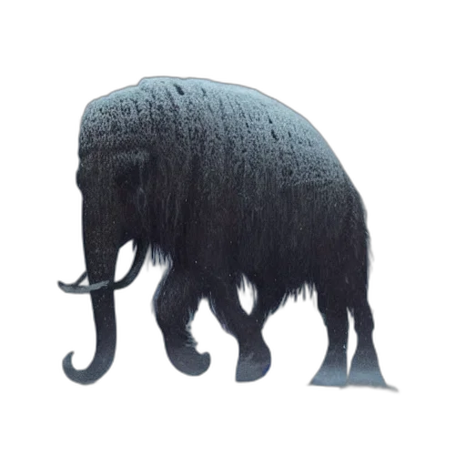 animal, creature, staff, hair transparent PNG cut-out