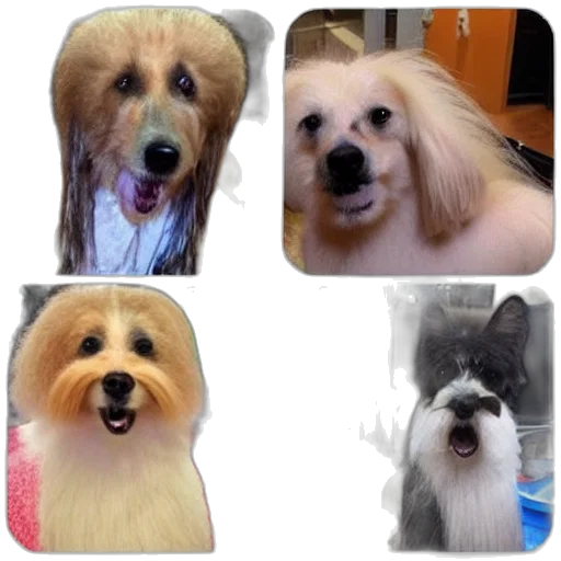 animal, creature, hair, photorealistic transparent PNG cut-out