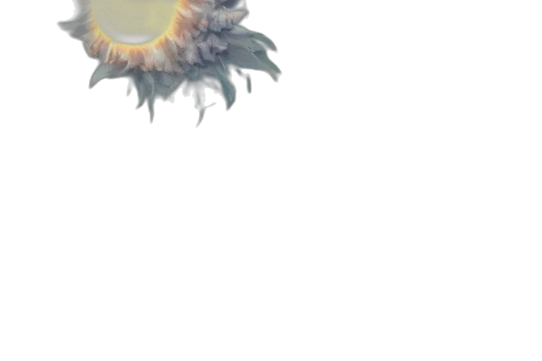 dragon, hair, creature, mask transparent PNG cut-out