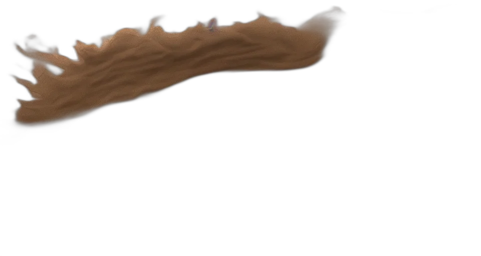 hair, dragon, staff, weapon transparent PNG cut-out