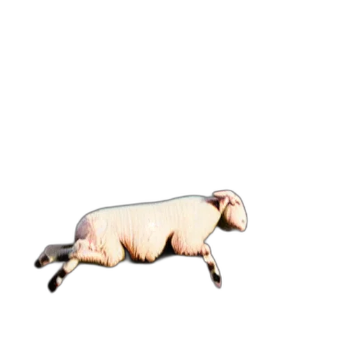 animal, creature, food, dress transparent PNG cut-out