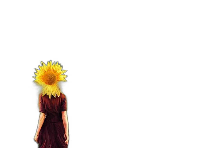 flower, dress, mask, crown transparent PNG cut-out