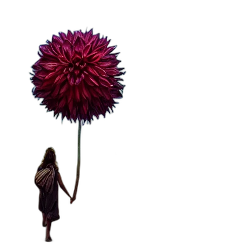 flower, umbrella, staff, hair transparent PNG cut-out