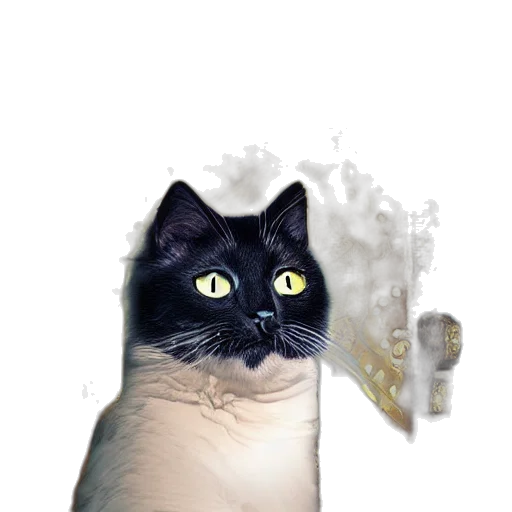 staff, animal, creature, weapon transparent PNG cut-out