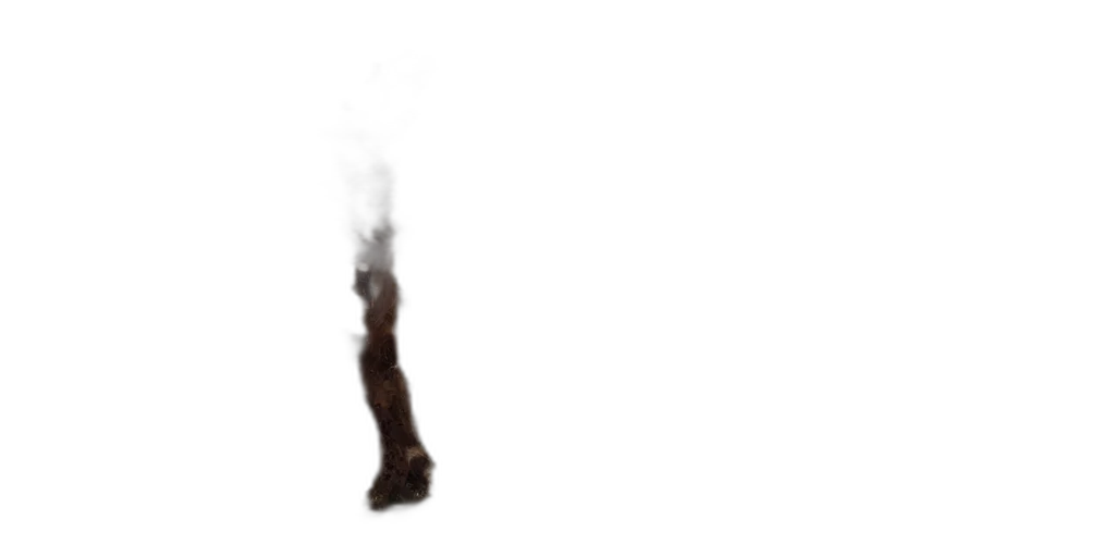 staff, shoes, weapon, sword transparent PNG cut-out