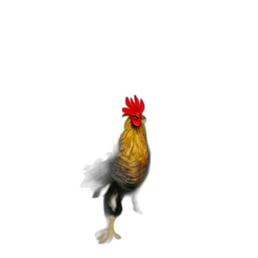 animal, creature, food, weapon transparent PNG cut-out