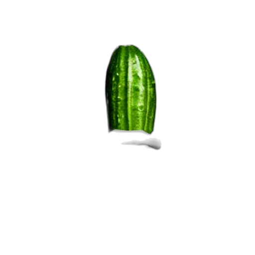 food, weapon, bottle, hat transparent PNG cut-out
