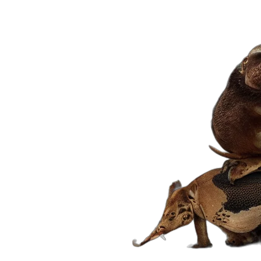 animal, staff, creature, shoes transparent PNG cut-out