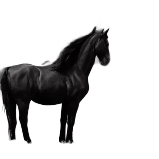 animal, creature, crown, hair transparent PNG cut-out