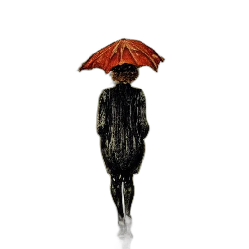 umbrella, dress, jacket, hat transparent PNG cut-out