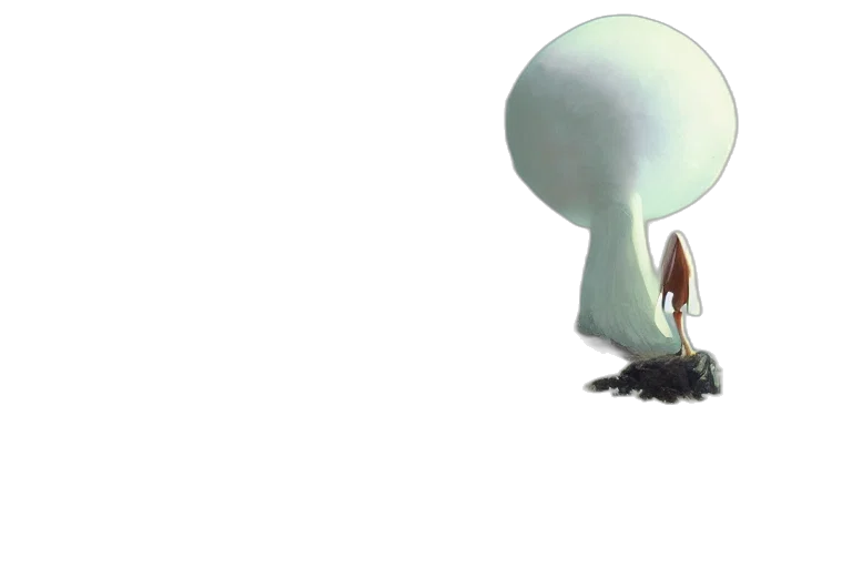 hat, creature, umbrella, crown transparent PNG cut-out
