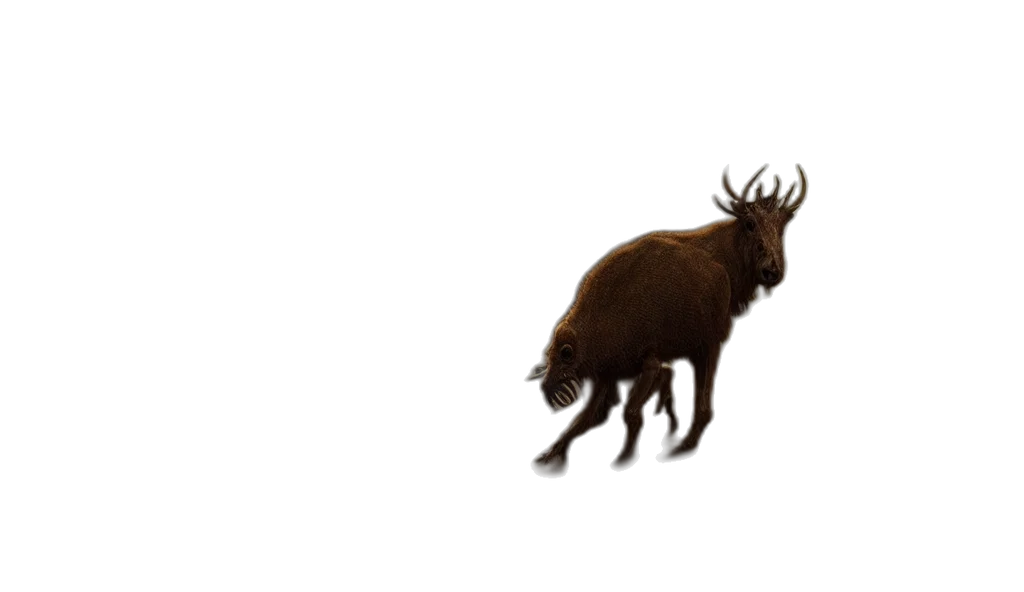 animal, creature, hair, crown transparent PNG cut-out