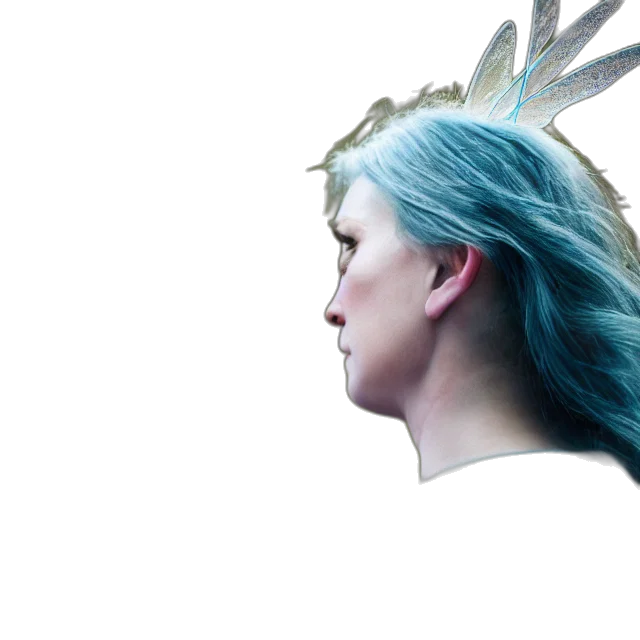 crown, face, mask, hair transparent PNG cut-out