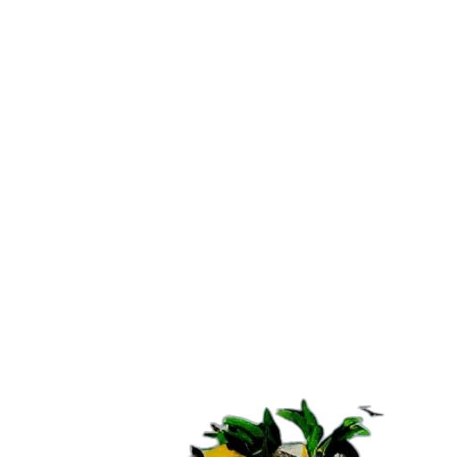 dragon, staff, weapon, creature transparent PNG cut-out