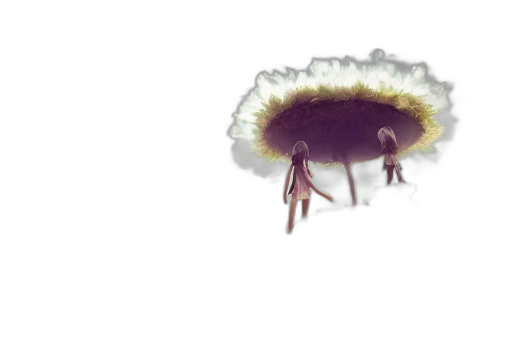 hair, umbrella, flower, creature transparent PNG cut-out