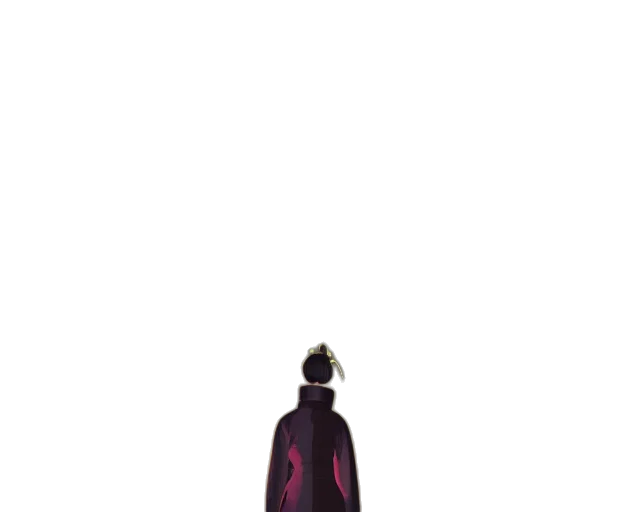 jacket, dress, staff, umbrella transparent PNG cut-out
