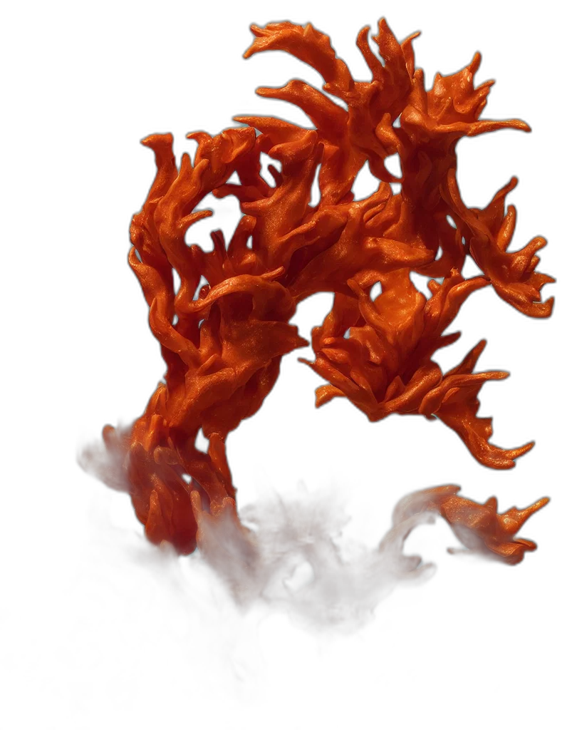 dragon, hair, crown, creature transparent PNG cut-out