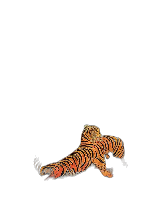 animal, creature, shoes, dragon transparent PNG cut-out