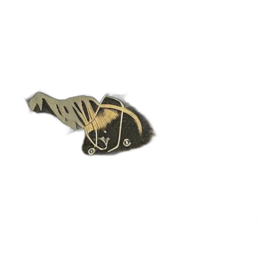 jewelry, dragon, crown, shoes transparent PNG cut-out